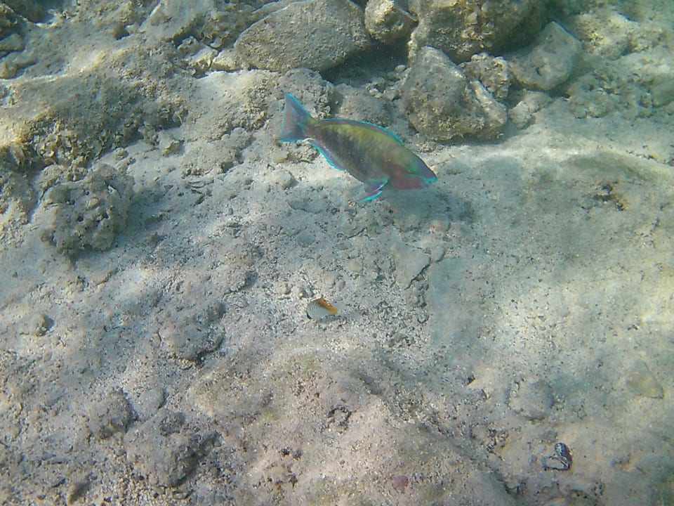 Strand Three Corners Sea Beach Resort