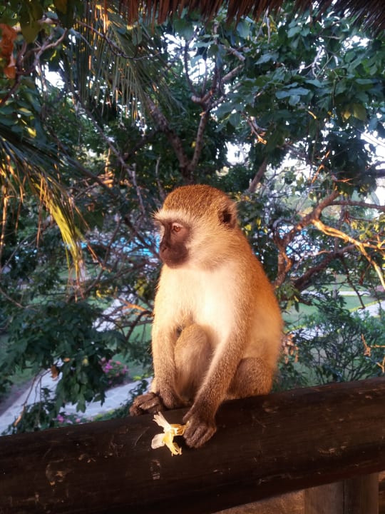 Sonstiges Hotel Southern Palms Beach Resort