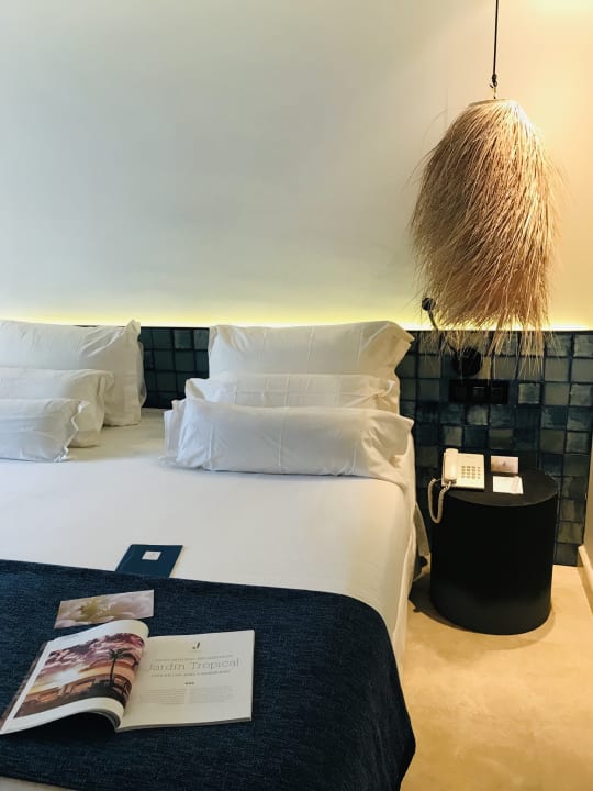 Zimmer Dreams Jardín Tropical