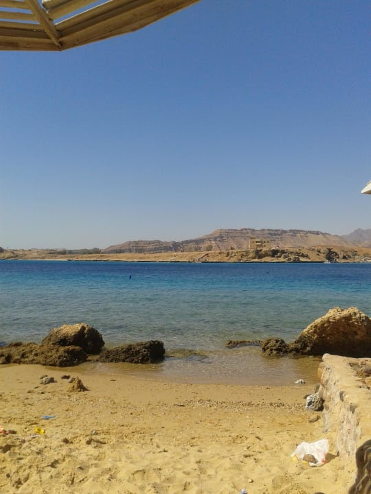 Am Strand Albatros Sharm Resort