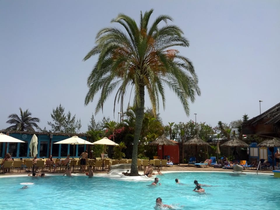 Der untere Pool Corallium Beach by Lopesan Hotels - Adults only