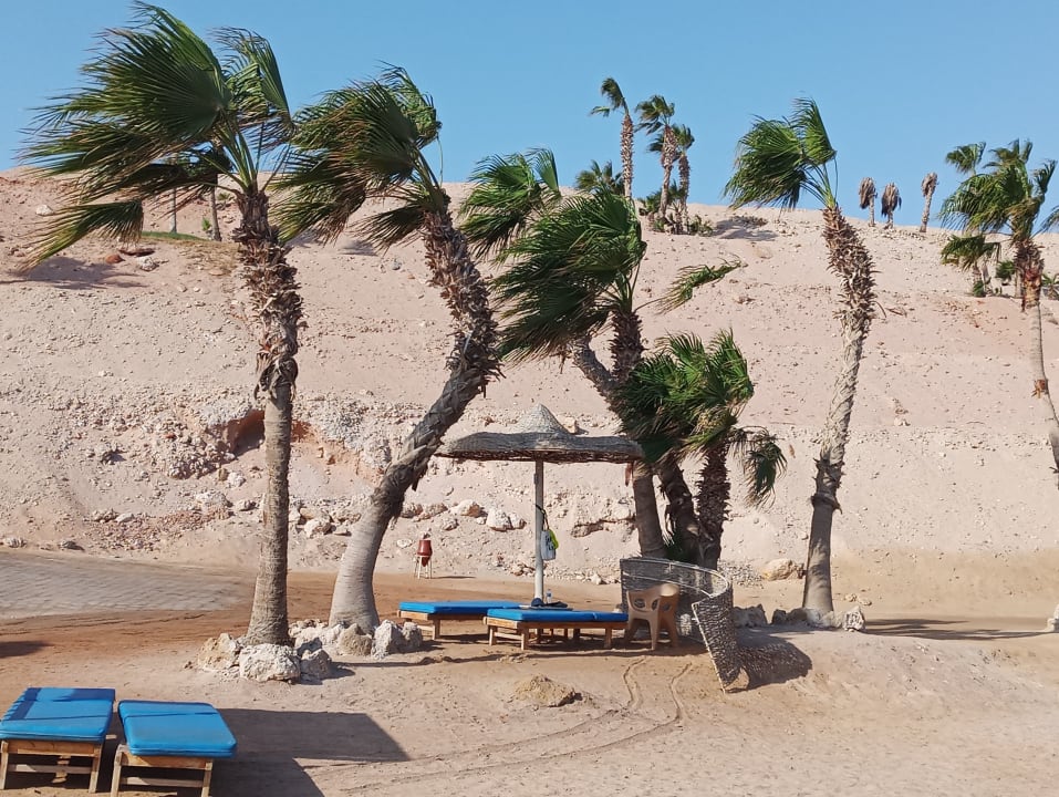 Strand Pickalbatros Citadel Resort