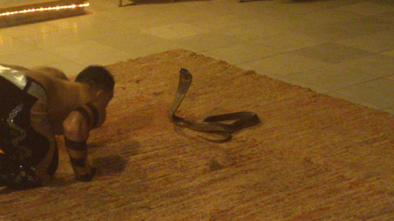 Gala Abend Ghazala Gardens