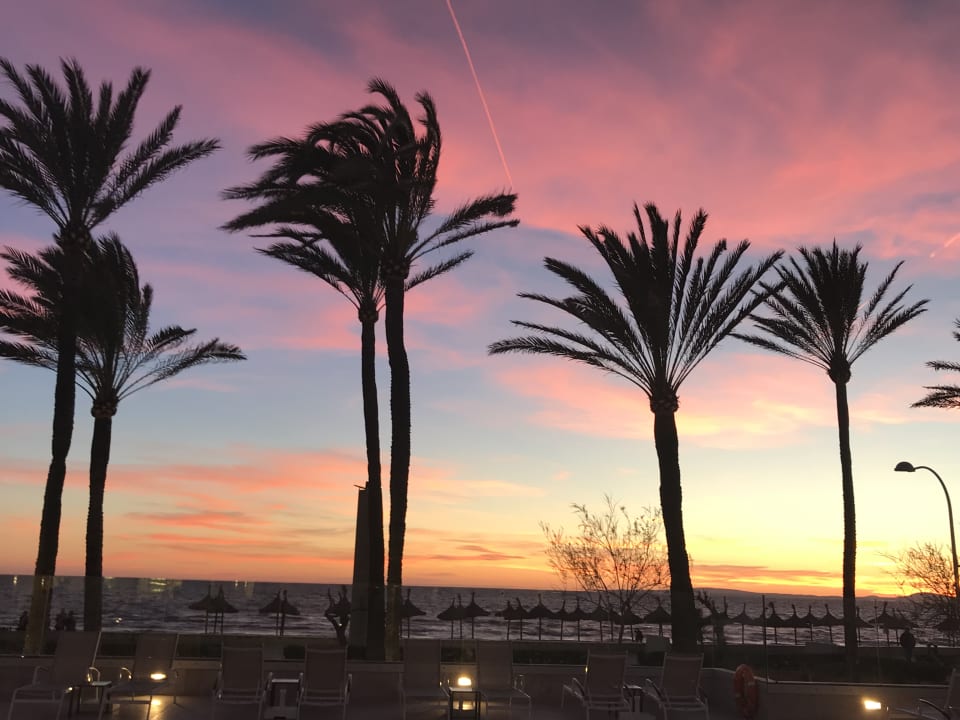 Strand Myseahouse Flamingo - Adults only