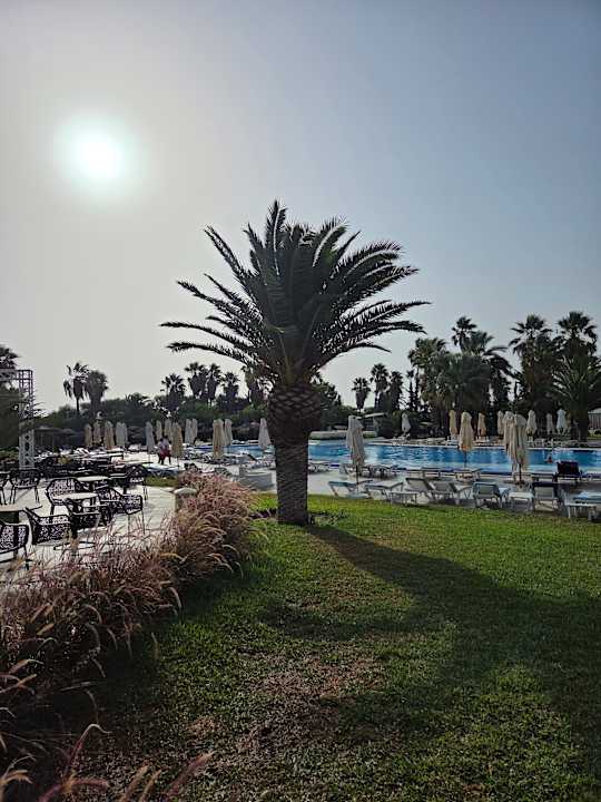 Pool Iberostar Selection Diar El Andalous