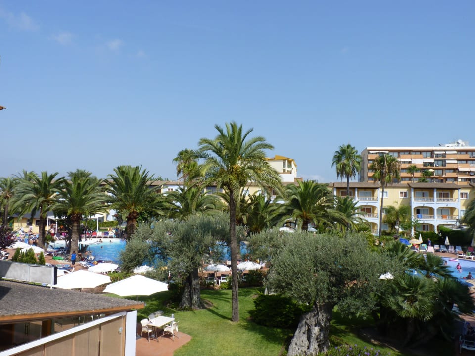 Garten Alcudia Garden Aparthotel