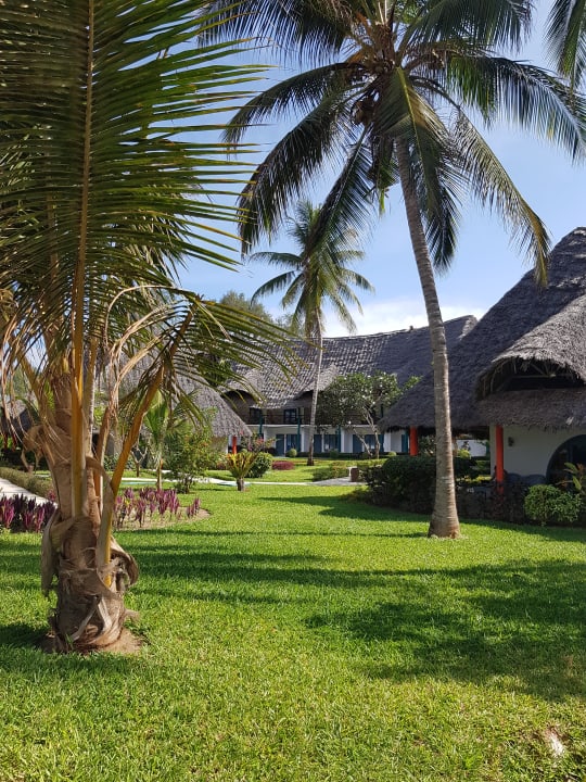 Gartenanlage Hotel Kiwengwa Beach Resort
