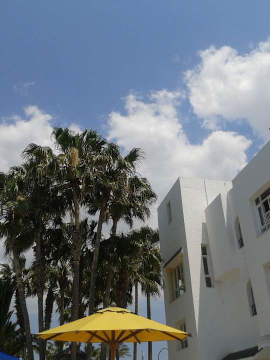 Hotelpalmen Hotel Nesrine