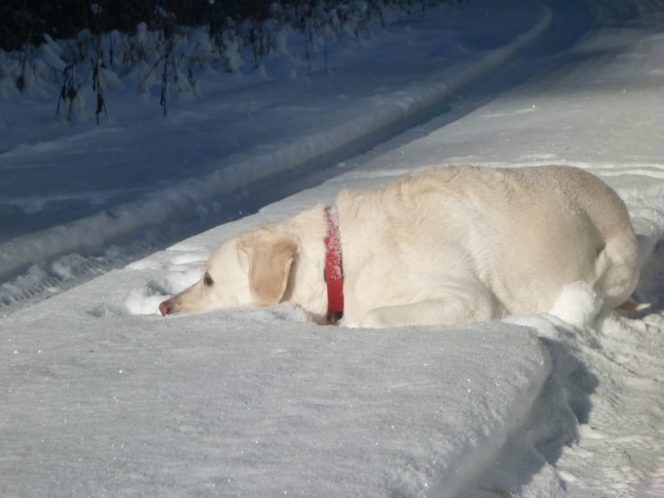 Sonstiges Gästehaus Hundelbach