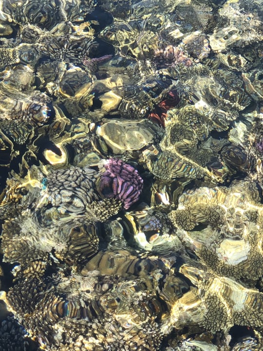 Strand ROBINSON SOMA BAY