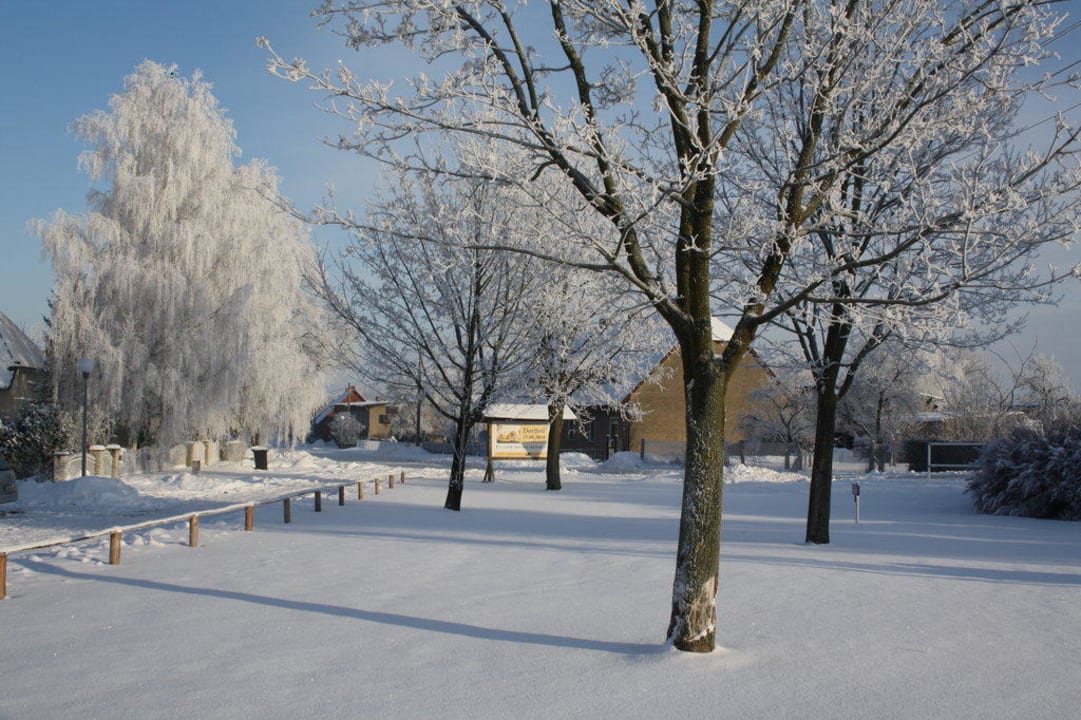 Winterlandschaft vor dem Haus Landhotel Felchow