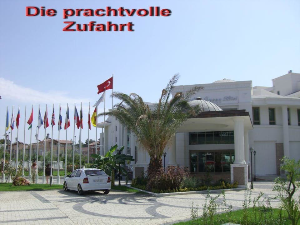 Der Haupteingang Alba Queen Hotel