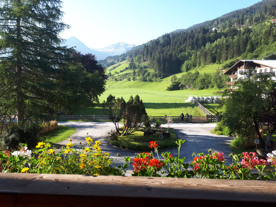 Ausblick Comfort-Farm Zittrauerhof