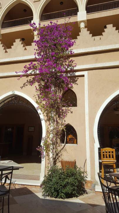 Außenansicht Makadi Palace
