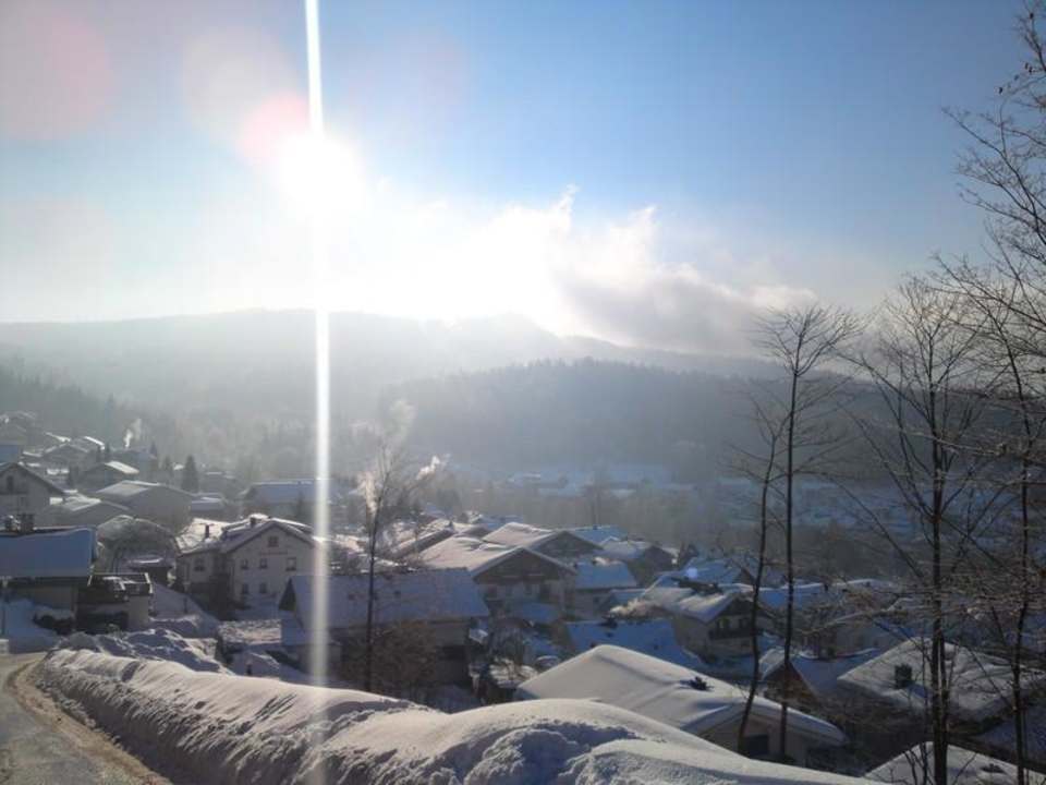Blick unterhalb der Villa Montana auf Bodenmais Montara Suites Bodenmais