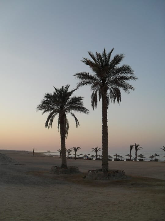 Hotel The Three Corners Sea Beach Resort Three Corners Sea Beach Resort