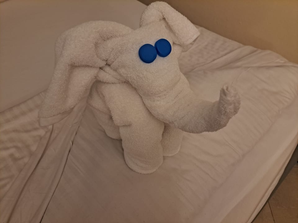 Zimmer Titanic Beach Spa & Aqua Park