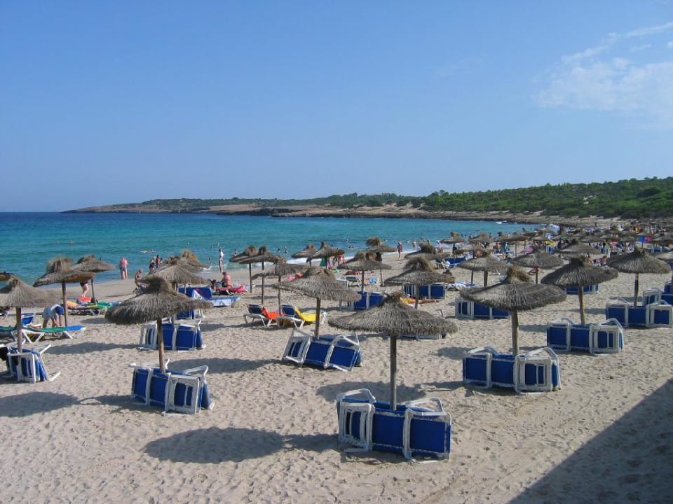 Strand am Hotel Hipotels Bahia Grande