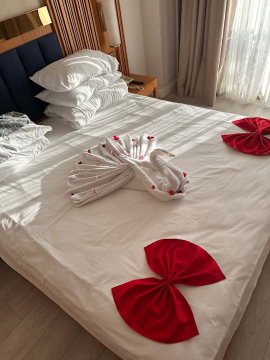 Zimmer Sidemarin Kirman Premium