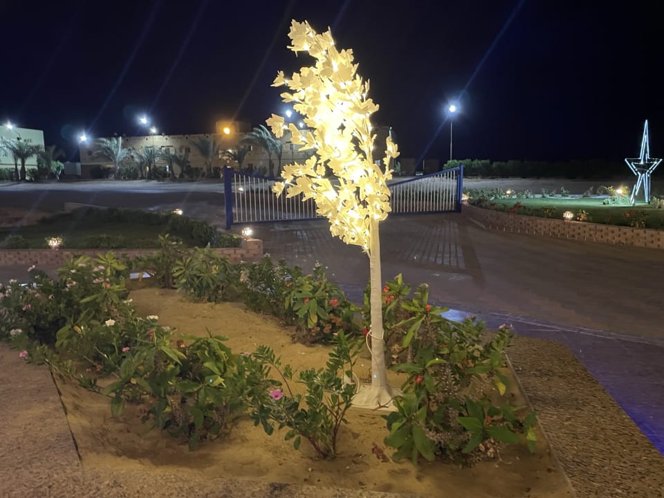 Gartenanlage Coral Sun Beach