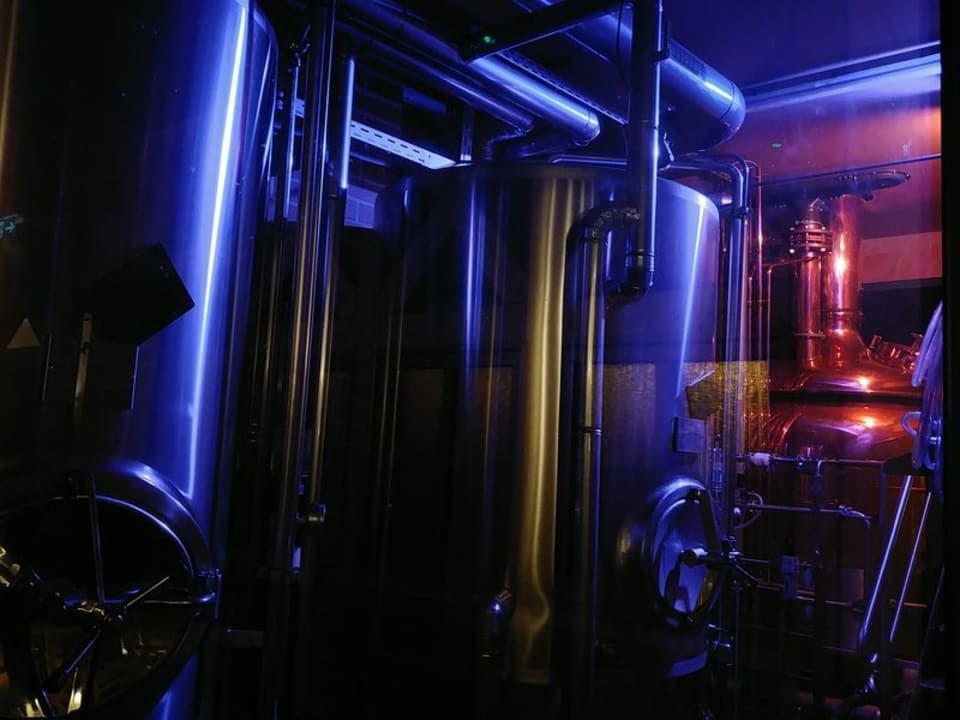 Gastro Gasthof Brauner Hirsch