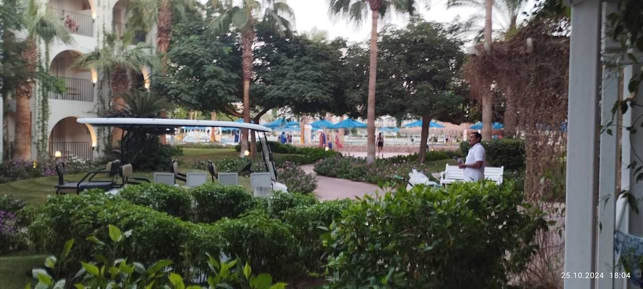 Sonstiges Desert Rose