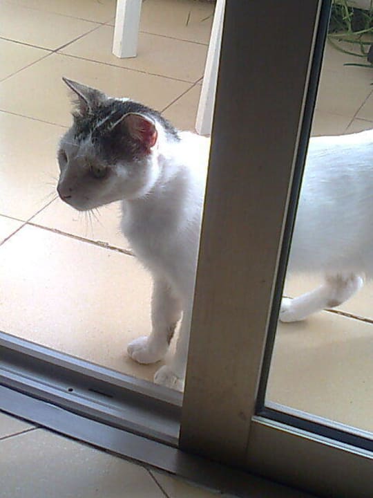 Einblick SBH Costa Calma Beach Resort