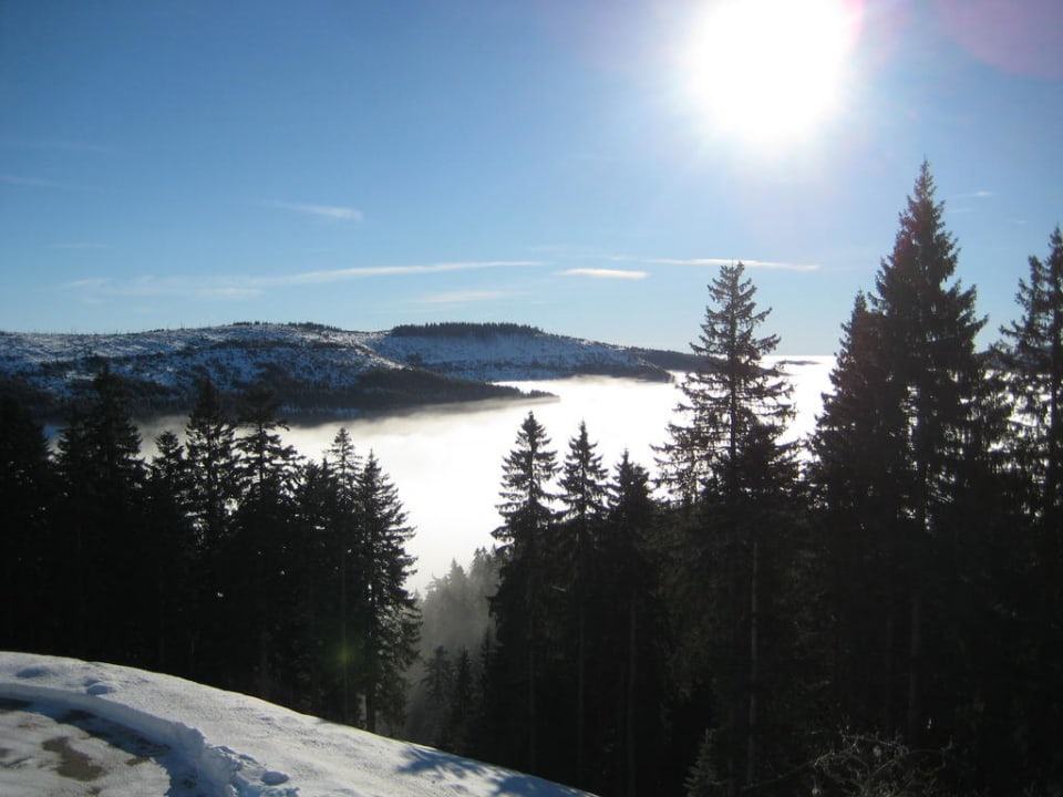 Ausblick am Mummelsee Wellnesshotel Forsthaus Auerhahn