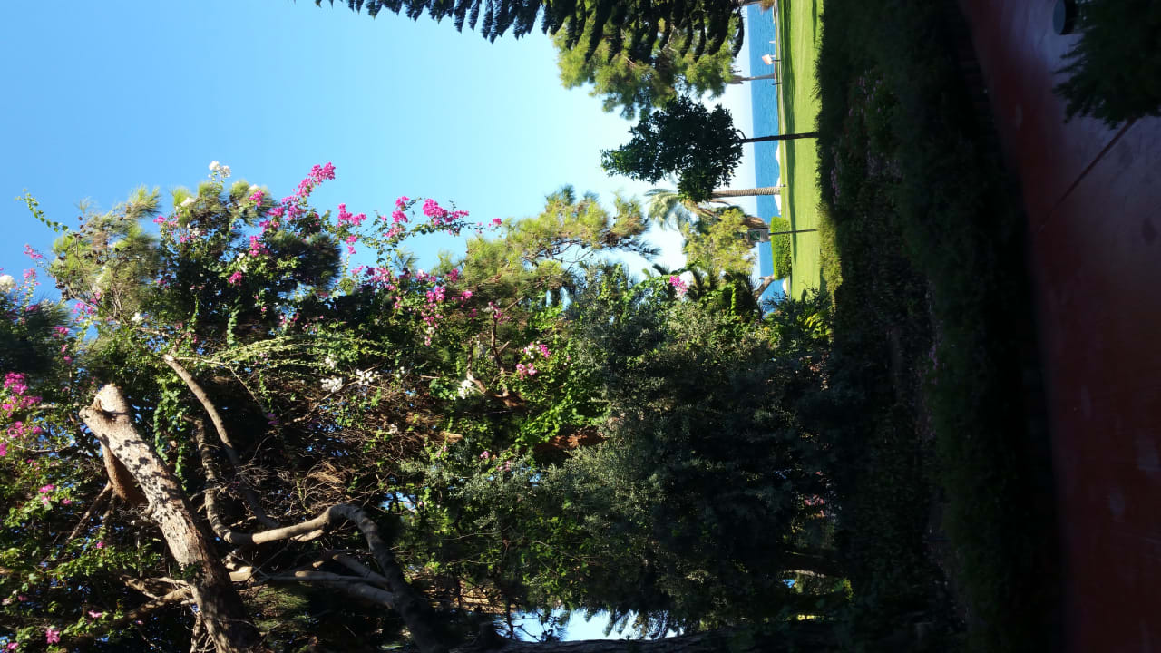 Gartenanlage TUI MAGIC LIFE Beldibi +16