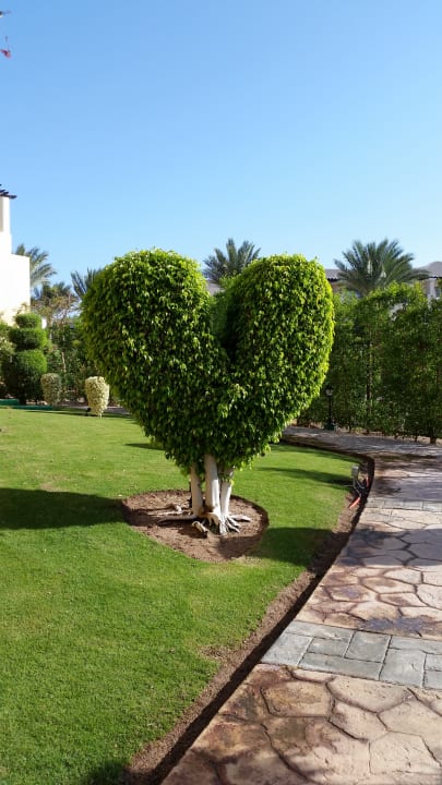 Gartenanlage Jaz Solaya