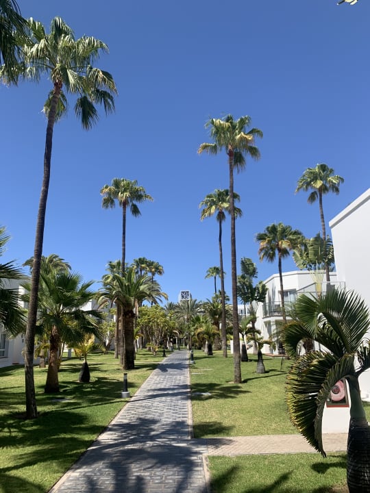 Gartenanlage Hotel Riu Palace Meloneras