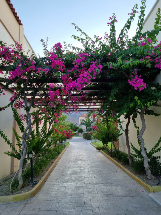 Gartenanlage Lindos Princess Beach Resort & Spa
