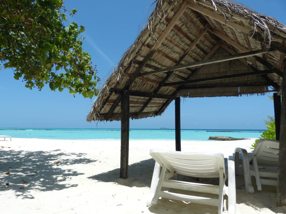 Standardbungalow 23 Summer Island Maldives