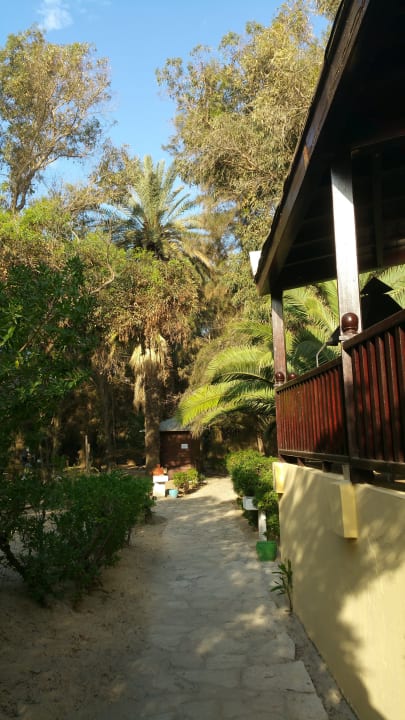 Gartenanlage Marhaba Royal Salem