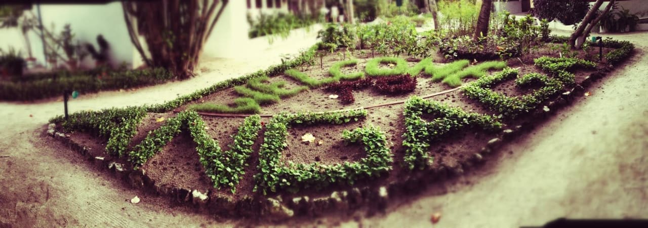 Reception Angaga Island Resort