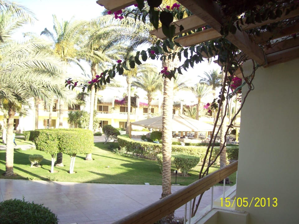 Blick aus dem Zimmer Palm Beach Resort