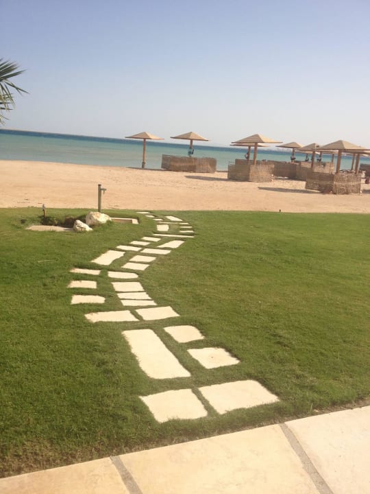 Steinweg Shams Prestige Abu Soma-Adults Only