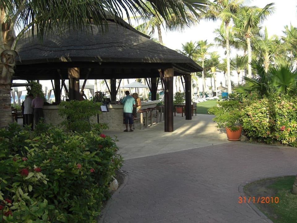 Strandbar JA Palm Tree Court