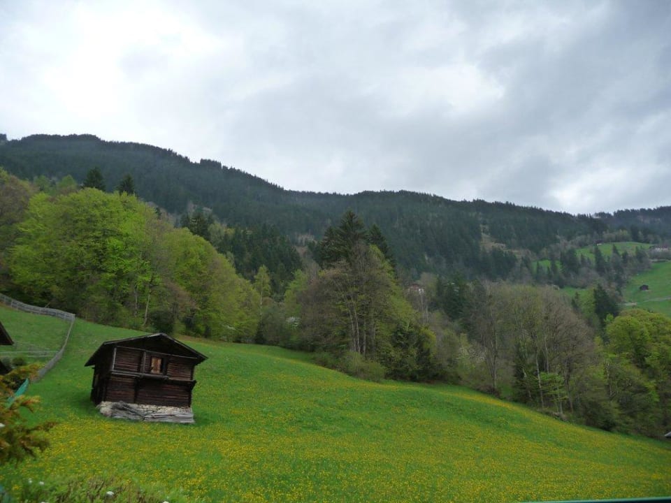 Umgebung Stock Resort