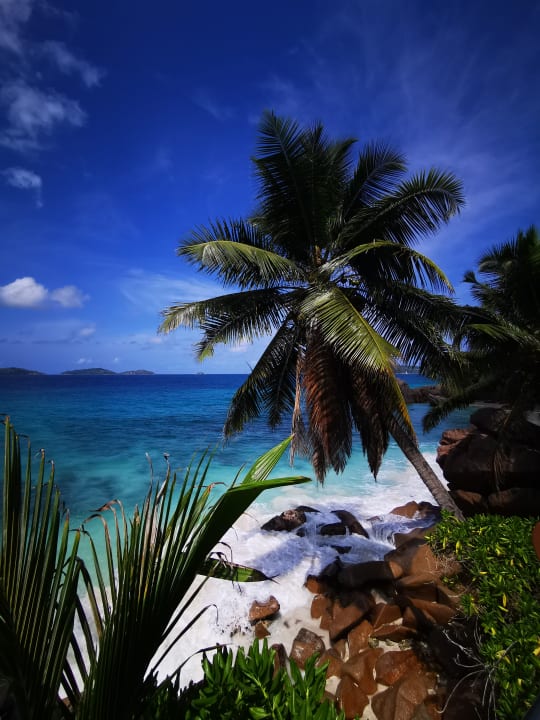 Gartenanlage Hotel Patatran Village