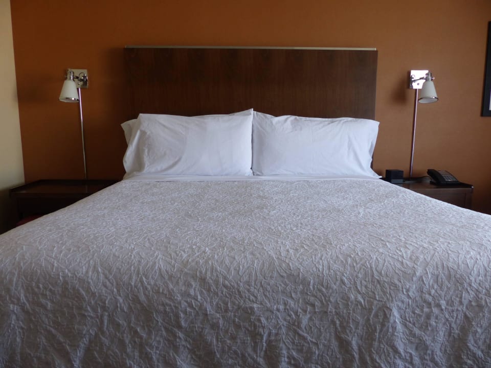 Tolles gemütliches großes Bett Four Points by Sheraton San Diego - Sea World