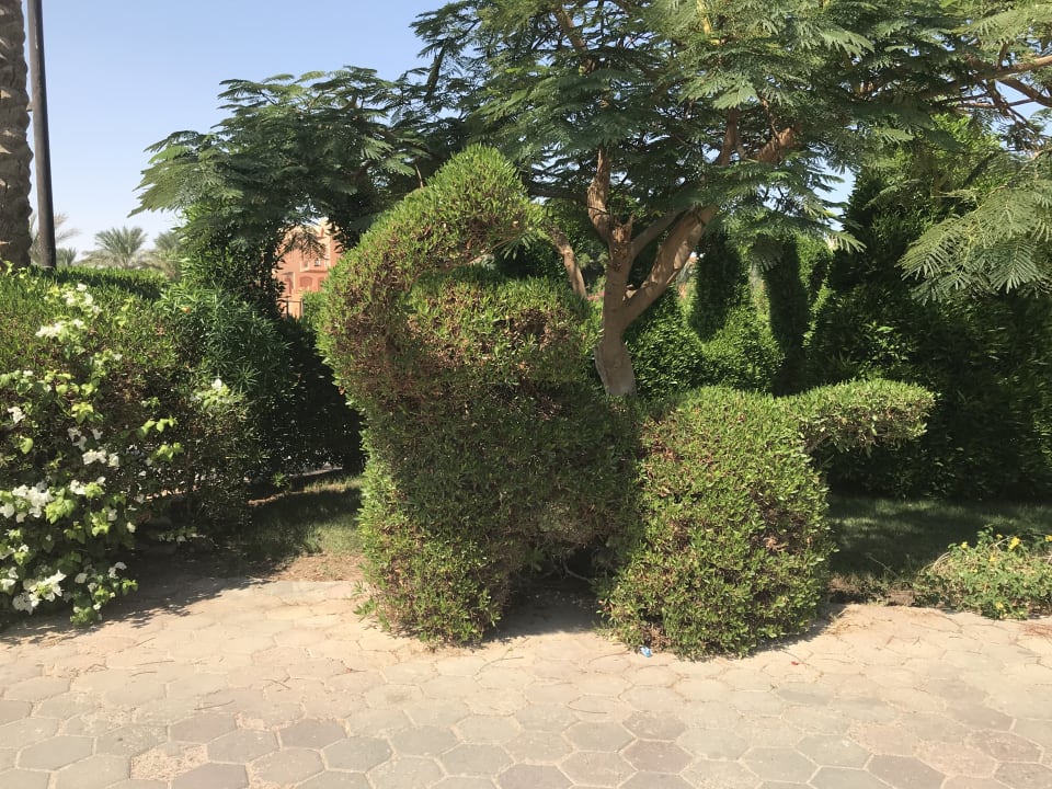 Gartenanlage Jaz Makadi Oasis Resort