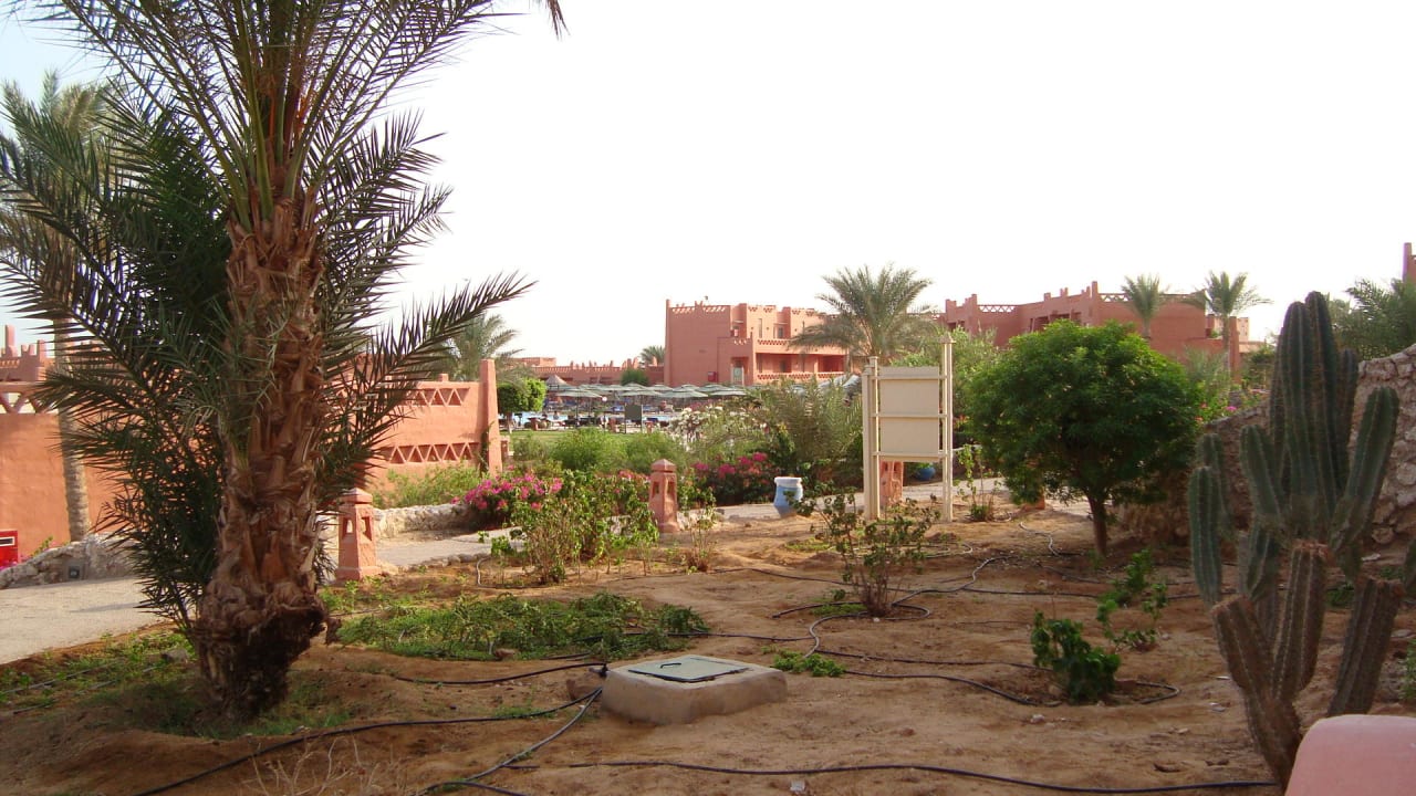 Вид из окна номера Hotel Hauza Beach Resort