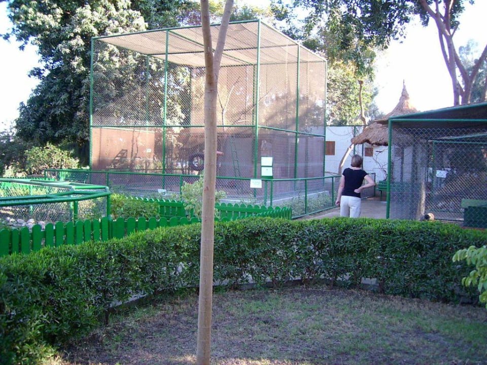 Zoo Jolie Ville Kings Island Luxor