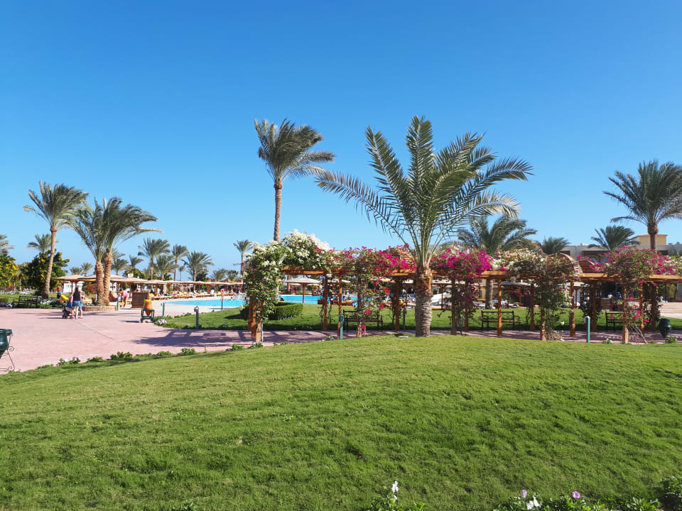 Sehr gepflegter Pool- und Gartenbereich Desert Rose