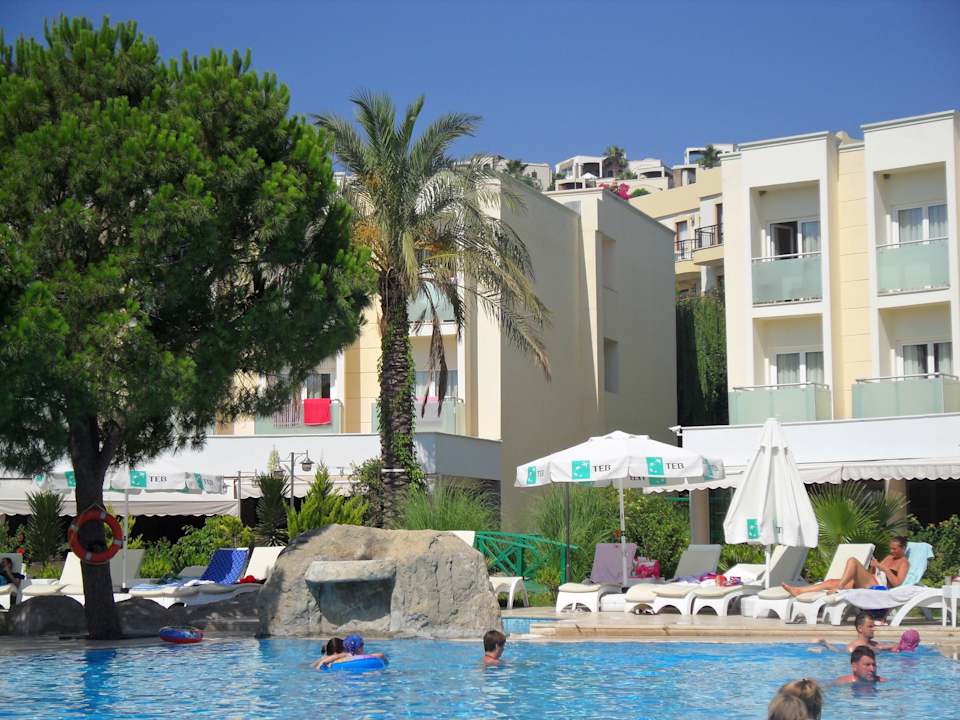 Aussicht auf den Pool und Zimmer Hotel Royal Palm Beach