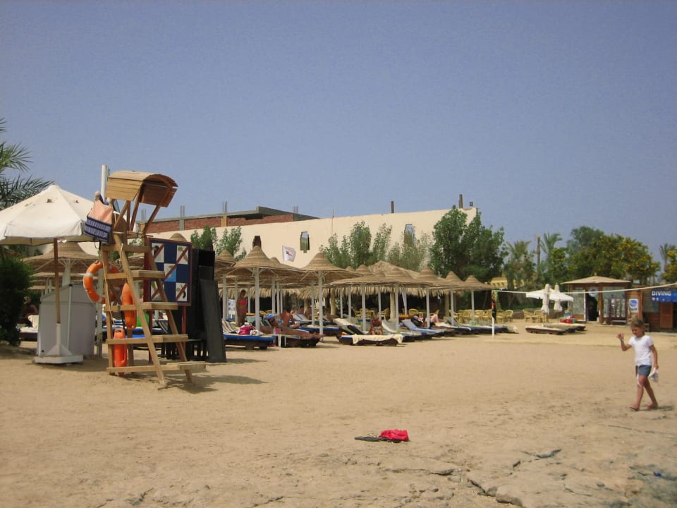 Strandbereich Prima Life Makadi Resort