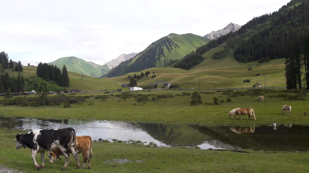 Außenansicht Alpenstern Pension & Suites