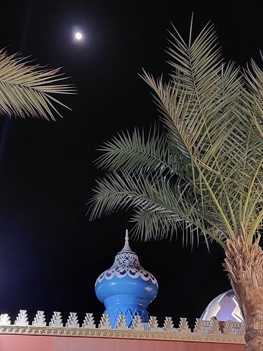 Ausblick Pickalbatros Alf Leila Wa Leila Resort - Neverland Hurghada