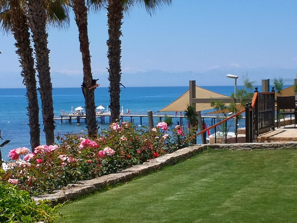 Ausblick Arum Barut Collection
